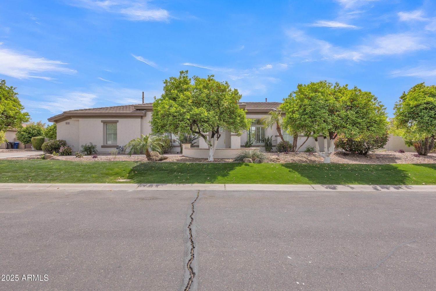 Mesa estate at 3461 East Indigo Circle with a large yard, plants and mature trees